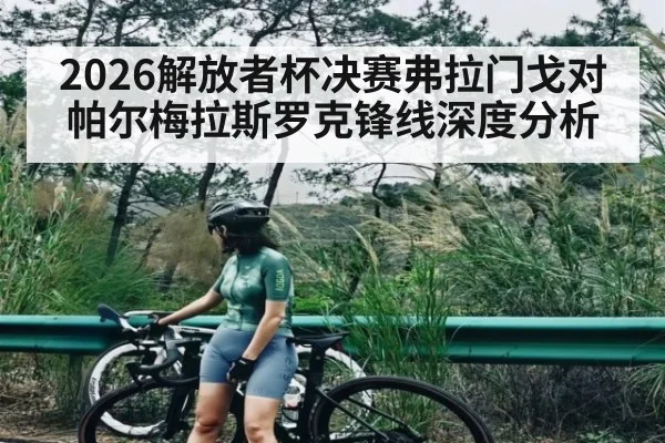 2026解放者杯决赛弗拉门戈对帕尔梅拉斯罗克锋线深度分析